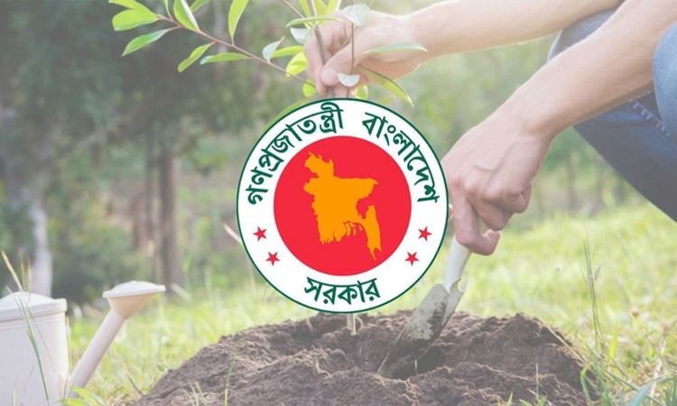 ২৫ কোটি গাছ রোপণের কার্বন ক্রেডিট বিক্রি করে বিলিয়ন ডলার আয় করতে পারে বাংলাদেশ