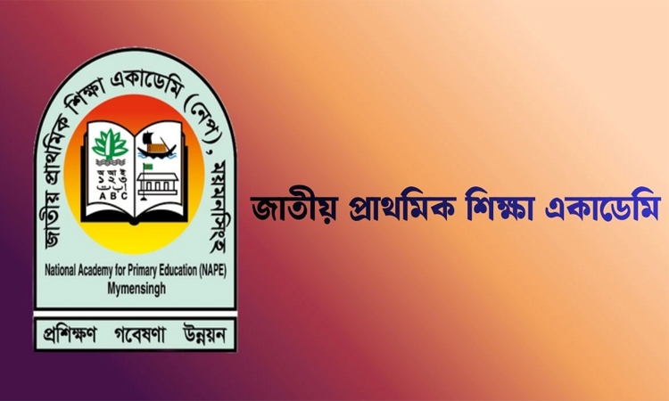 ডিপিএড ১ম সেমিস্টার পরীক্ষা ২৭ জুনের পরিবর্তিতে ২ জুলাই ছবি : সংগৃহীত বাসস