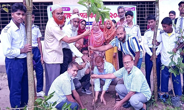 সবুজ পরিবেশ গড়ার অঙ্গীকার নিয়ে বৃক্ষরোপণের আহ্বান রংপুর উচ্চ বিদ্যালয়ে বৃক্ষরোপণ কর্মসূচি-২০২৬ এর উদ্বোধন করা হয়। ছবি: বাসস