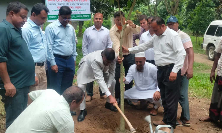 পরিবেশ রক্ষায় শিল্পকারখানায় বৃক্ষরোপণ কর্মসূচির উদ্বোধন ছবি : সংগৃহীত বাসস