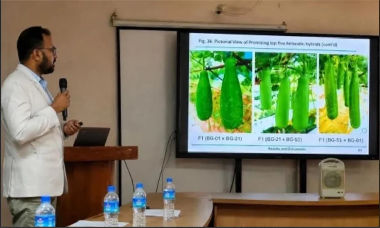 হাবিপ্রবি’র গবেষণায় তাপসহনশীল হাইব্রিড লাউ উদ্ভাবন হাবিপ্রবি’র কৃষি অনুষদের জেনেটিক্স ও প্ল্যান্ট ব্রিডিং বিভাগের গবেষক মো. শফিকুল ইসলাম তাপসহনশীল হাইব্রিড লাউ উদ্ভাবনে সাফল্য অর্জন করেছেন।। ছবি: বাসস